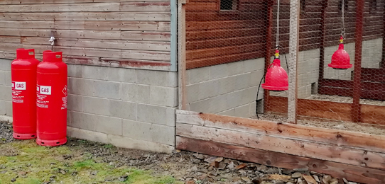Pheasant Rearing LPG Gas